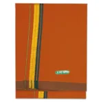 Kavi Color Fancy Border Cotton Lungi/Dhoti
