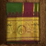 Dark Green Colour Karishma